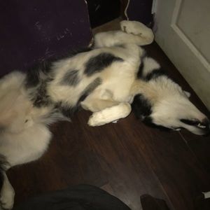 Meet your Posher, Luke